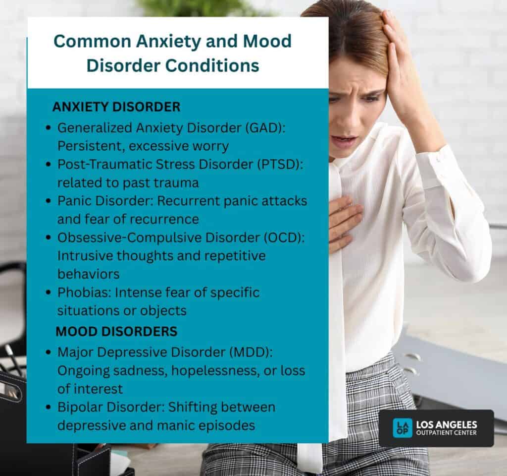 Common Anxiety and Mood Disorder Conditions