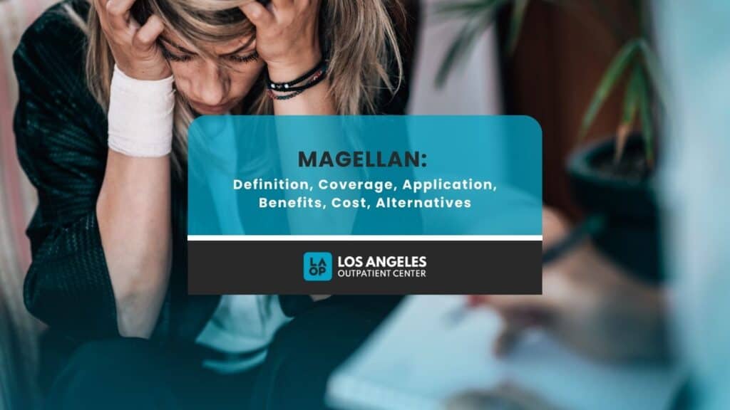Magellan-Definition-Coverage-Application-Benefits-Cost-Alternatives.