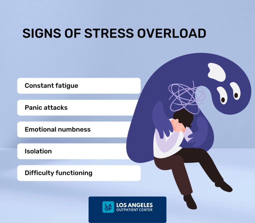 Chronic Stress Explained: Symptoms, Causes & Management Click2Pro