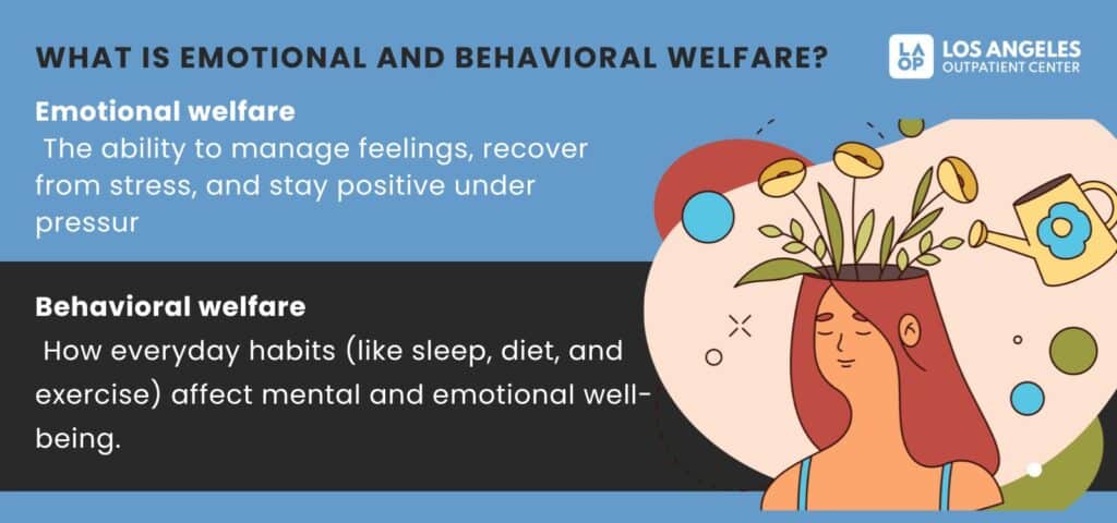 What is emotional and behavioral welfare